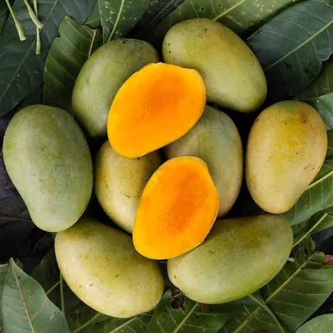 মিষ্টি আম্রপালি আম