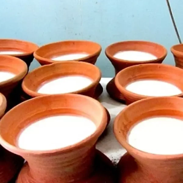 ভোলার মহিষের দুধের কাঁচা দই