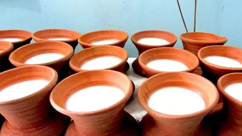 ভোলার মহিষের দুধের কাঁচা দই